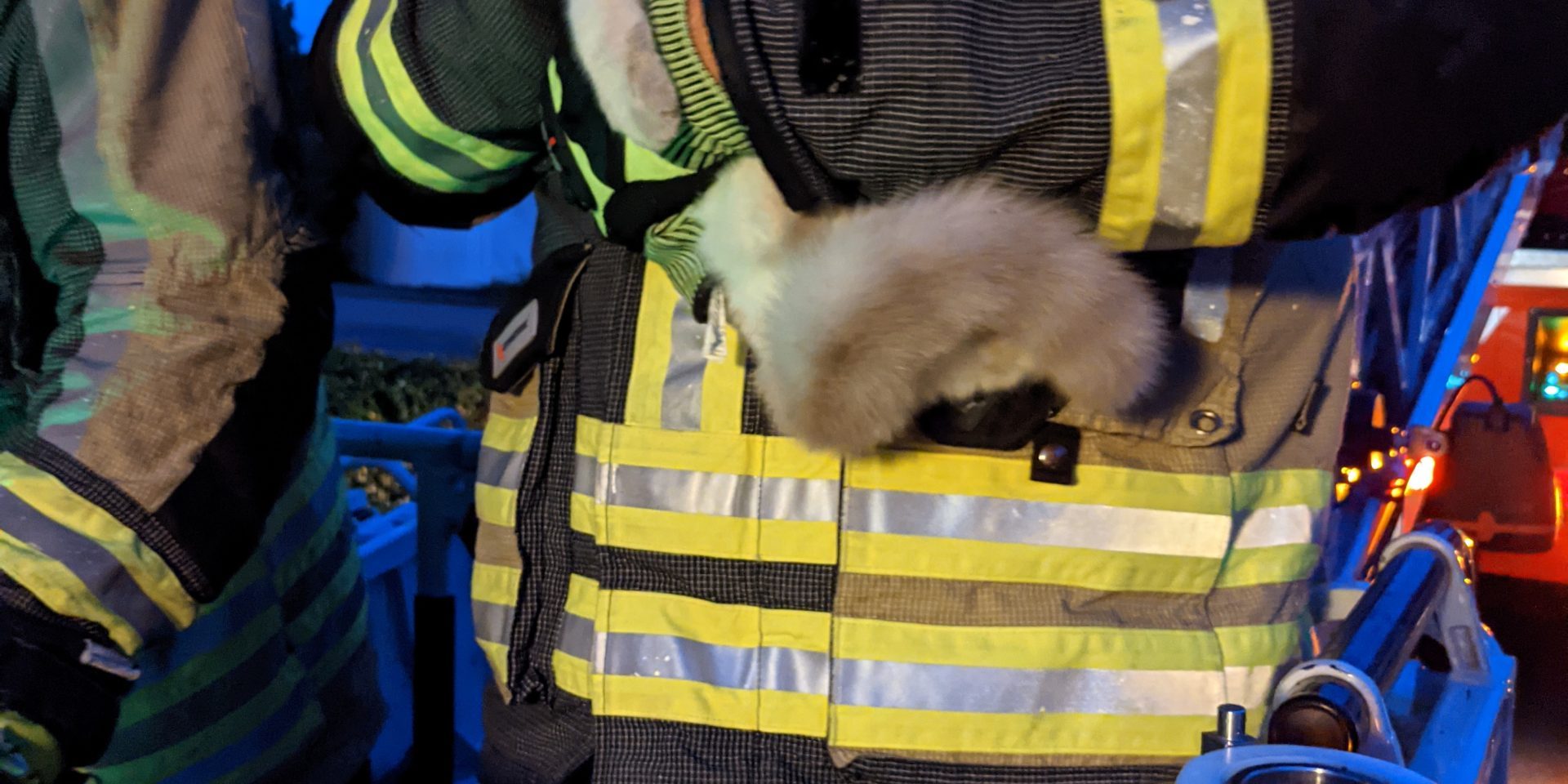 PXL_20210801_193148670