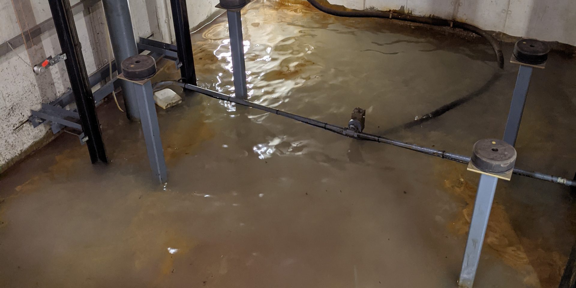 PXL_20210813_162715302