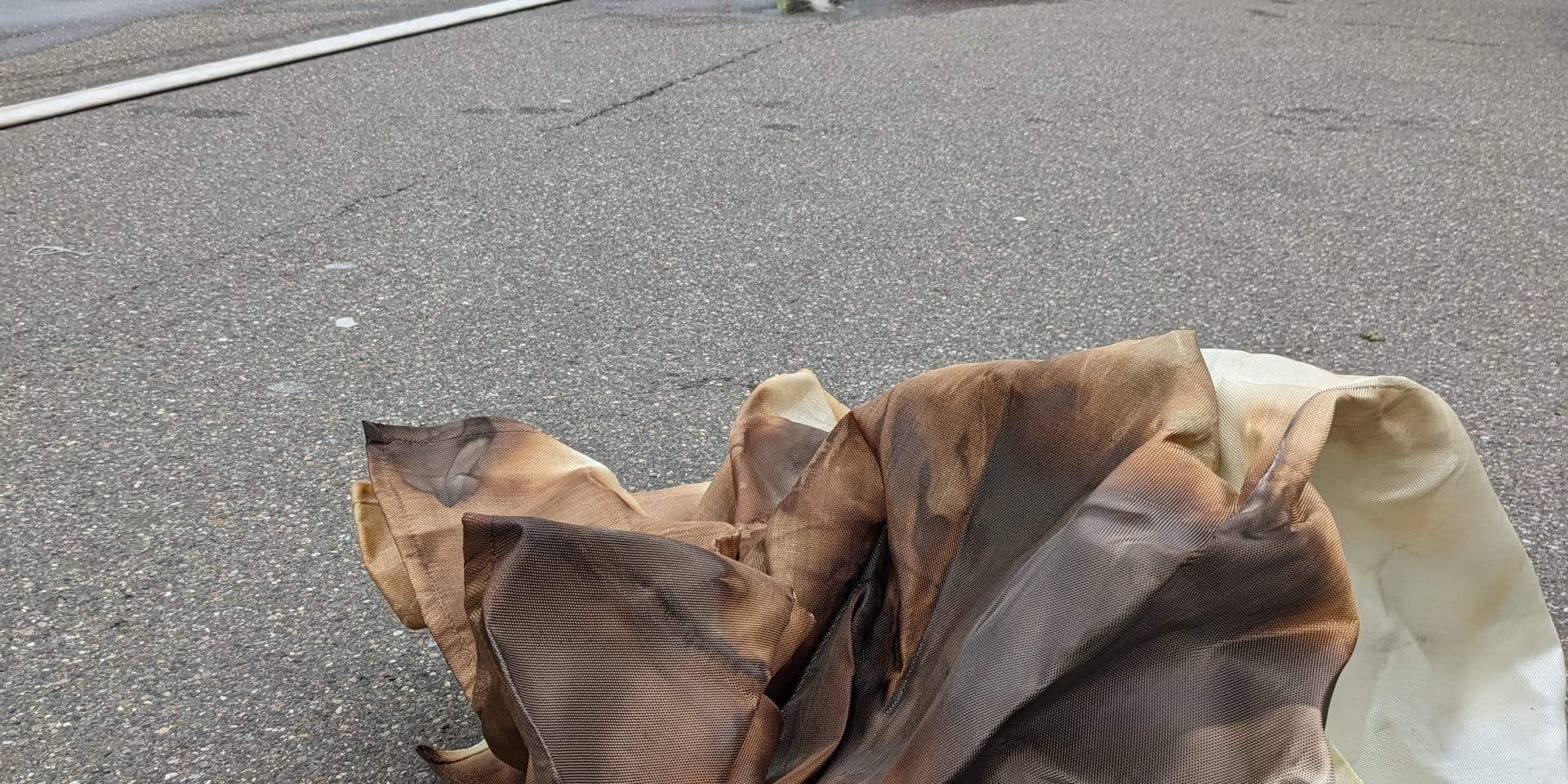 PXL_20230419_115146704