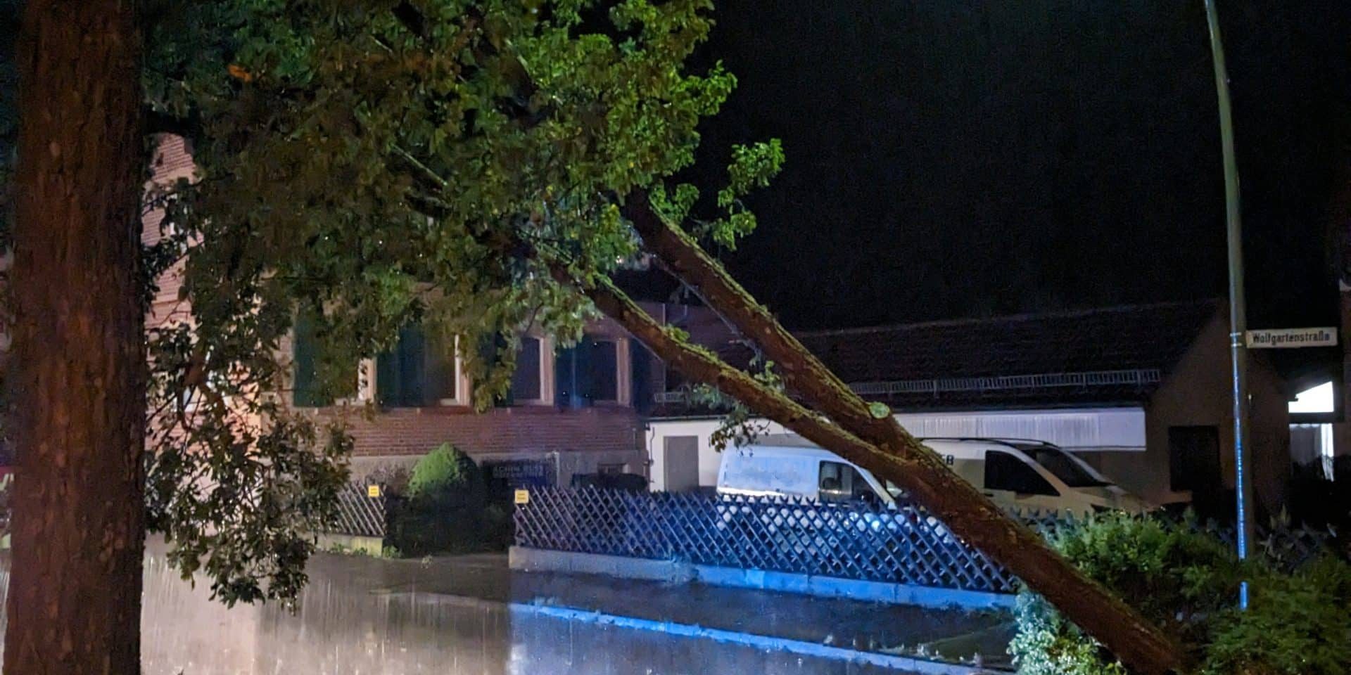 PXL_20230711_212321212~2