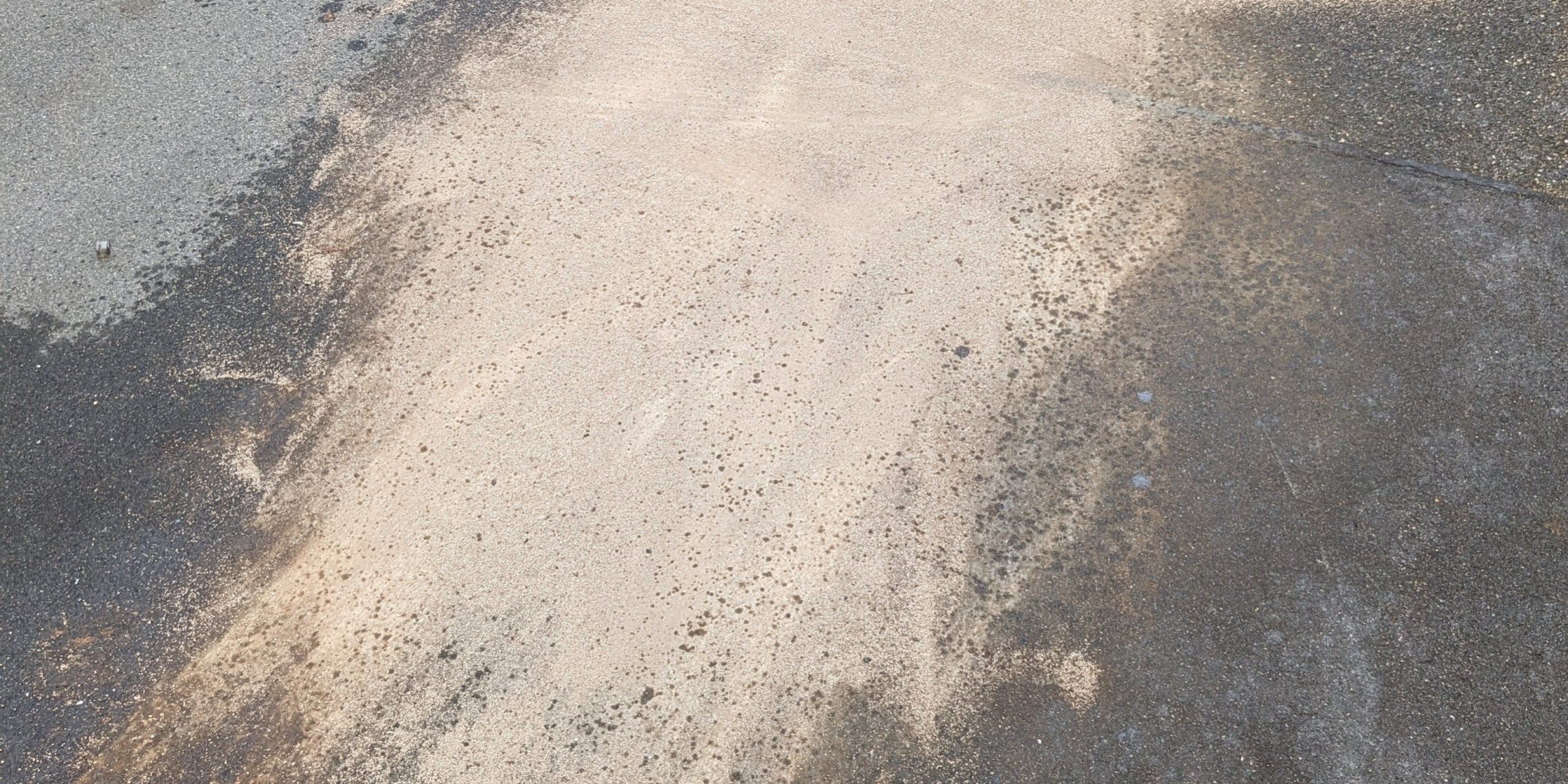 PXL_20231109_095855886